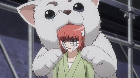 Image Sadaharu And Kagura Episode 327png Gintama Wiki Fandom