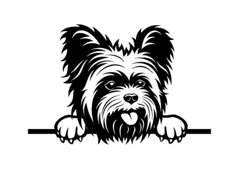 Free Yorkie Svg Files - 1565+ Best Quality File - Free SVG Cut File for