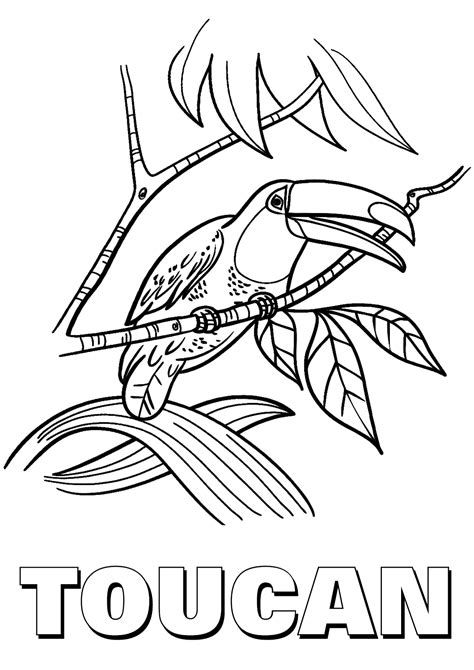 Download or print this amazing coloring page: Toucan coloring pages | Coloring pages to download and print