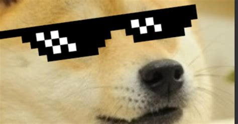 Decal Ids Roblox Doge Chat Bypasser Roblox Pastebin Gui