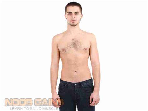 Ultimate Guide To Body Types Ectomorph Endomorph And Mesomorph Noob