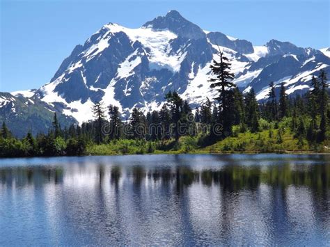 Mount Baker Reflection In Picture Lake Wa Stock Image Image Of Trees