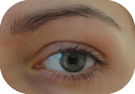 Can't Walk In High Heels: At Home Eyebrow Tinting
