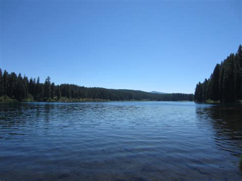 Clear Lake Main Pool Sunken Forest Oregon Dive Sites