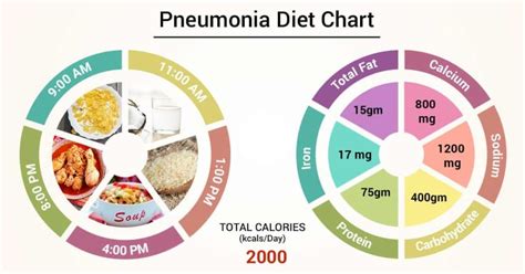 Diet Chart For Pneumonia Patient Diet For Pneumonia Chart Lybrate