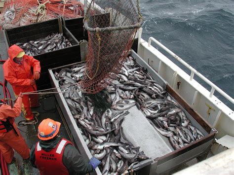 Satellite Technology Can Help Keep An Eye On Global Fishing Sciworthy