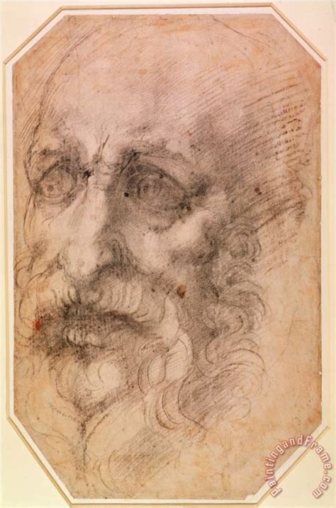 Michelangelo Buonarroti Portrait Of A Bearded Man Painting Portrait