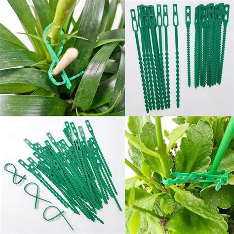 2050100pcs Adjustable Reusable Plastic Plant Support Clips Clamps For