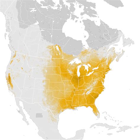 Wood Duck Abundance Map Post Breeding Migration Ebird Status And