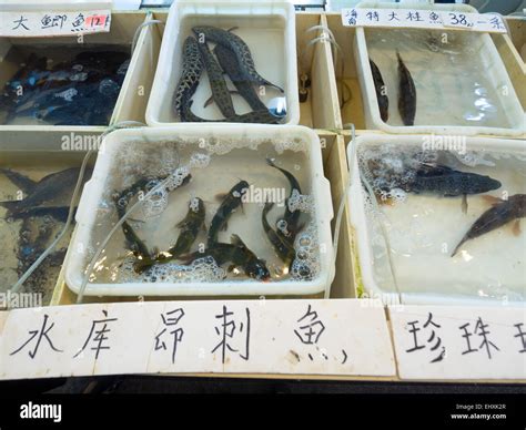 Fish Market In Shanghai China Stock Photo Alamy