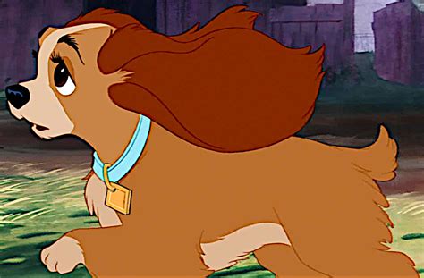 Lady Disneys Lady And The Tramp Photo 41181486 Fanpop