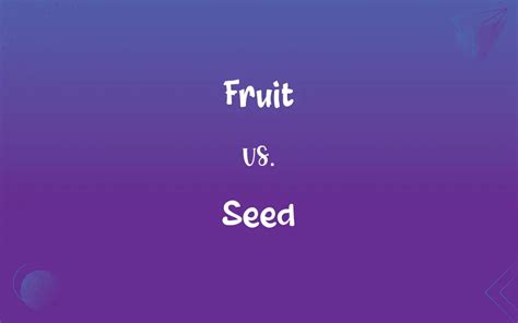 Fruit Vs Seed Whats The Difference