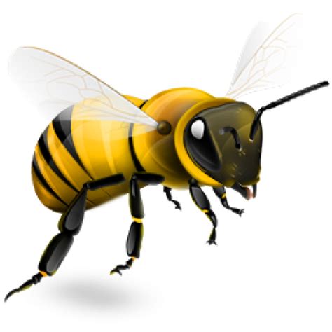 Bee Png Png Images Download Bee Png Pictures Download Bee Png Png