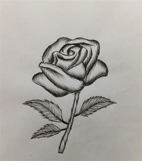 Drawing how to draw flowers. Easy Drawings Of Roses How To Draw A Rose-Easy For ...