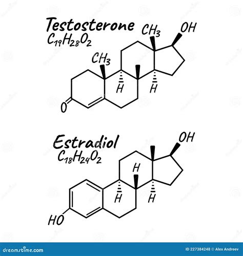 Human Hormone Estradiol Testosterone Concept Chemical Skeletal Formula Icon Label Text Font