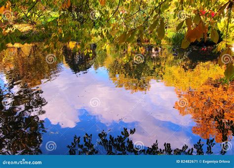 Beautiful Autumn Pond With Ducks And Trees Reflected In Water Stock