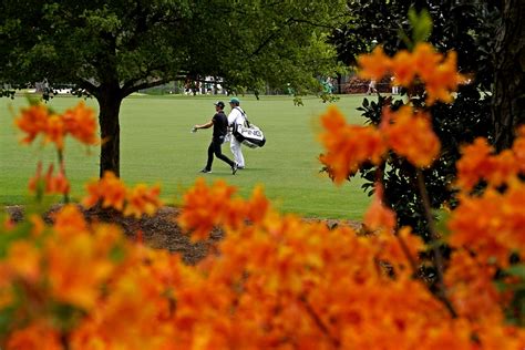 Masters Best Nature Shots Of Augusta National Golf Club