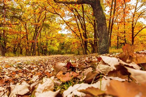 Top Ten UK Trails for Autumn Walking — Contours Walking Holidays