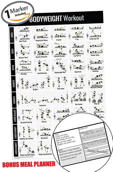 Buy Bodyweight Exercise Poster Home Gym Fitness Workouts Strength Training Fitness Workout