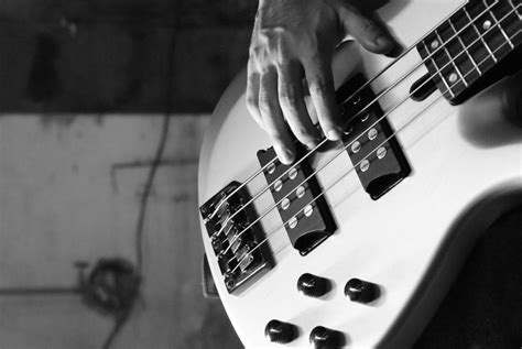 5 Best Bass Guitars For Beginners In 2020 Reviews