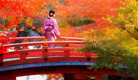 Такая разная Япония с «Квинта-тур»: спецпредложения на осень.