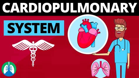 Cardiopulmonary System Medical Definition Quick Explainer Video