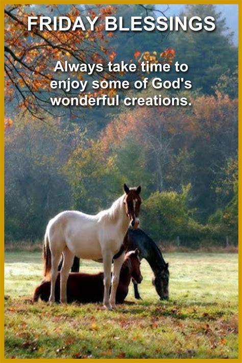 Pin By Rosa Well On Friday Blessings Horses Beautiful Horses Horse Love