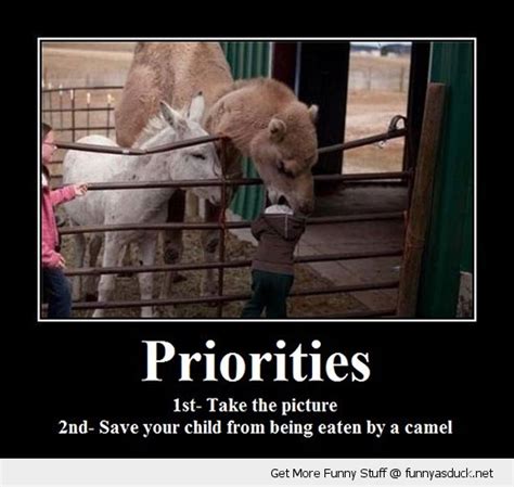 Quotes About Peoples Priorities Quotesgram
