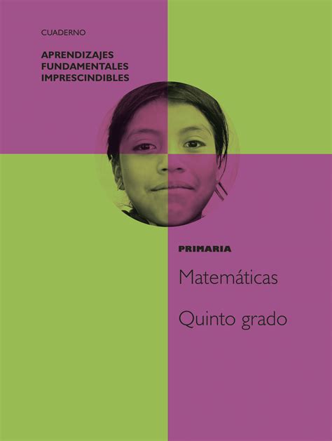 Cuadernillos De Matemáticas Para Quinto Grado Descargar Pdf