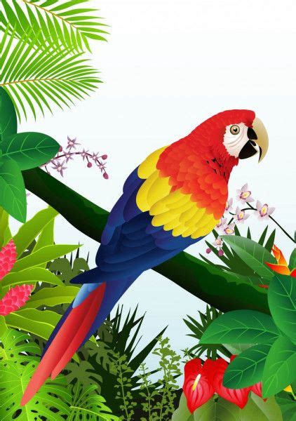 Pássaro Arara Na Floresta Tropical — Ilustração De Stock Pinturas De