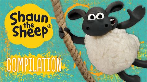 Timmy Episodes Compilation 1 Shaun The Sheep Youtube