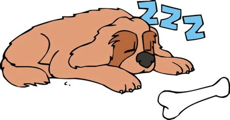 Download High Quality Puppy Clipart Sleeping Transparent Png Images