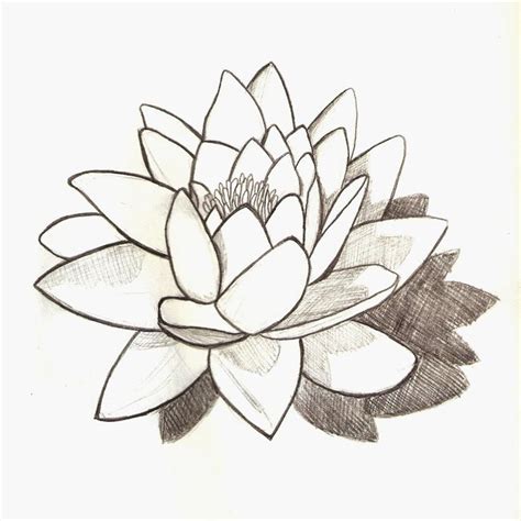 Pin By Abigail On Wood Burning Water Lily Tattoos