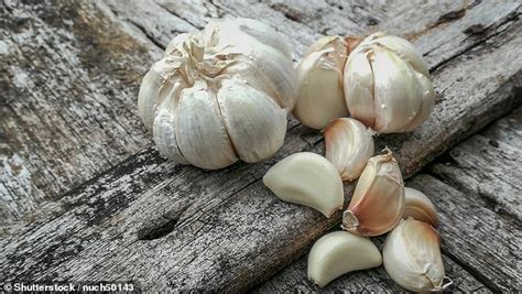What bugs are repelled by cedar? GARLIC could be used to repel insects from crops as ...