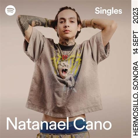 Natanael Cano El Toro Encartado Spotify Singles Lyrics Genius Lyrics