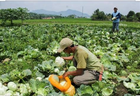 Dirreskrimum dan dirlantas polda kaltara berganti. Holtikultura Kaltara - Irianto Inisiasi Bantuan Berobat ...