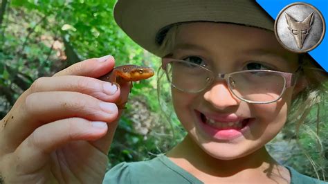 Brave Wilderness Searching For Newts And Salamanders Youtube