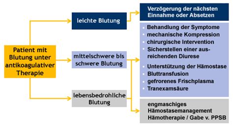 Das eingesetzte medikament wird antikoagulans (gerinnungshemmer, antikoagulantium, antithrombotikum; Antikoagulantien Pass : Https Www Thieme De Statics ...