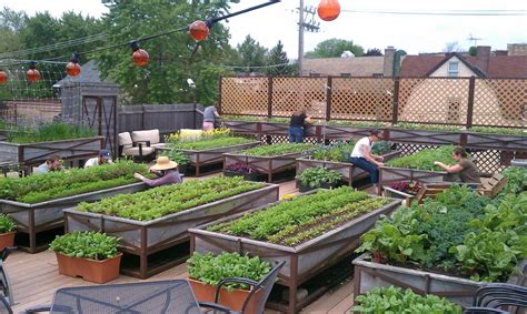 Green Roofs And Great Savings Rooftop Garden Vegetable Garden
