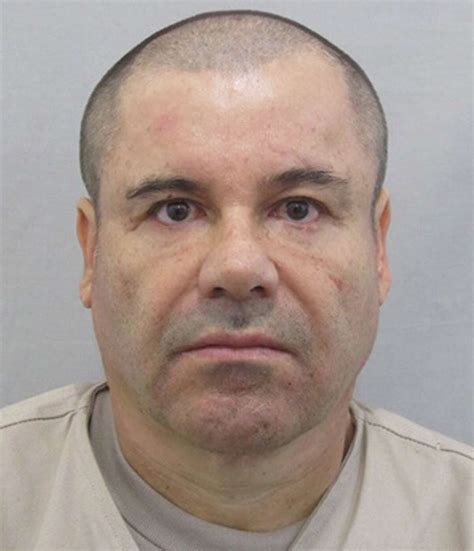 Report Mexico Knew Everything Drug Cartel Boss Joaquín El Chapo