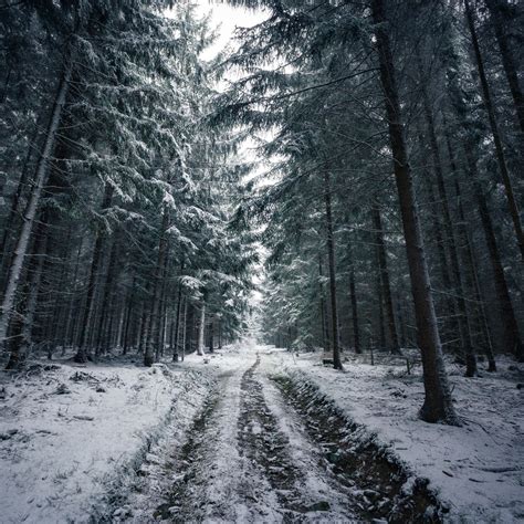 Johannes Hulsch — Winter Impressions