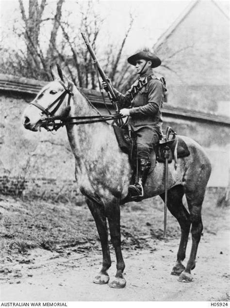 World War I Information Worldwari World War World War One War Horse