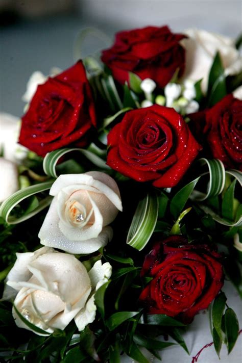 Red And White Roses World Cup Flowers Floral Design