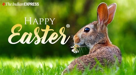 Happy Easter 2022 Wishes Images Quotes Status Messages And Photos