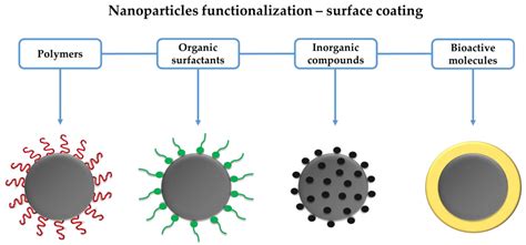 Antibiotics Free Full Text Iron Oxide Nanoparticles For Biomedical