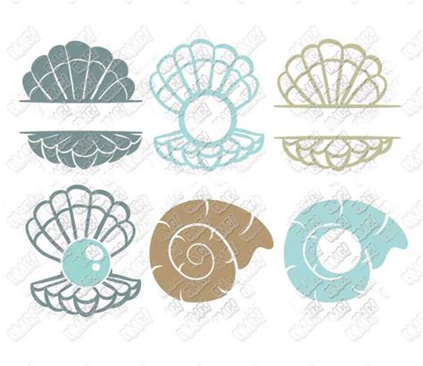 Sea Shell Svg Bundle Seashell Monogram Beach Summer Svg Dxf Etsy