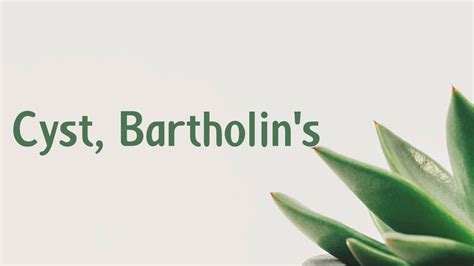 Cyst Bartholins Symptoms Causes Treatment Diagnosis