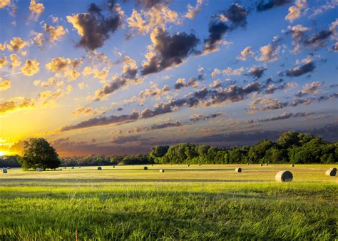 Recent data from landwatch shows $33 billion of texas land parcels for sale. Purchasing Rural Property in Texas - Paramount Property ...