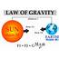 The Law Of Gravity  KidsPressMagazinecom