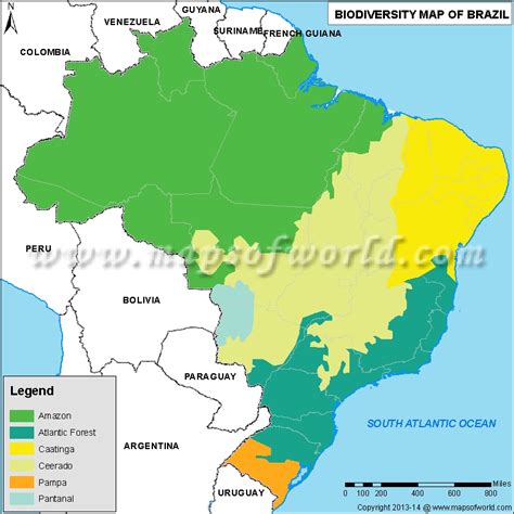 Brazil Biodiversity Map Biodiversity Map Of Brazil